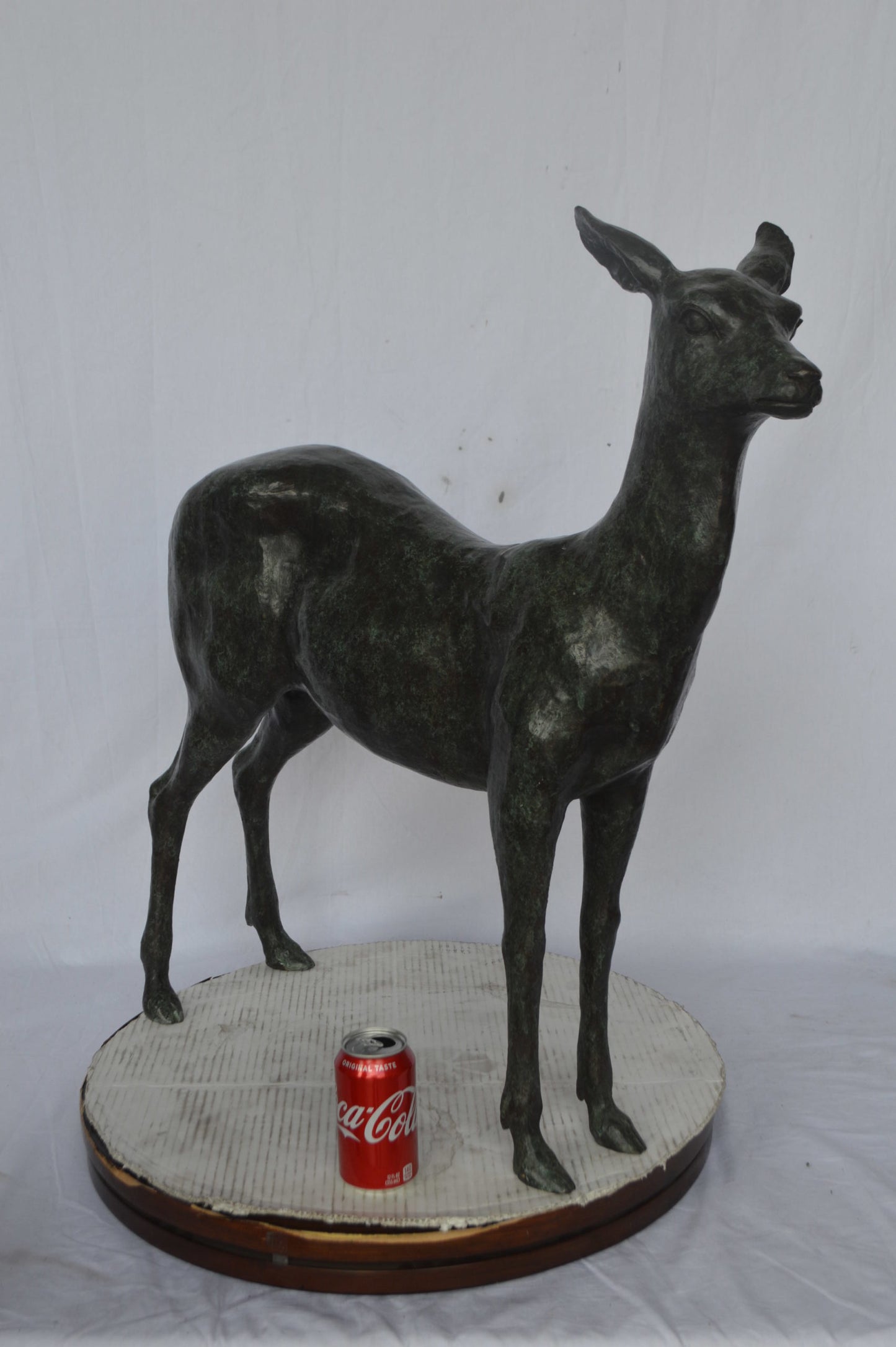 Doe - Baby Deer Green patina Bronze Statue - Size: 30"L x 8"W x 31"H.