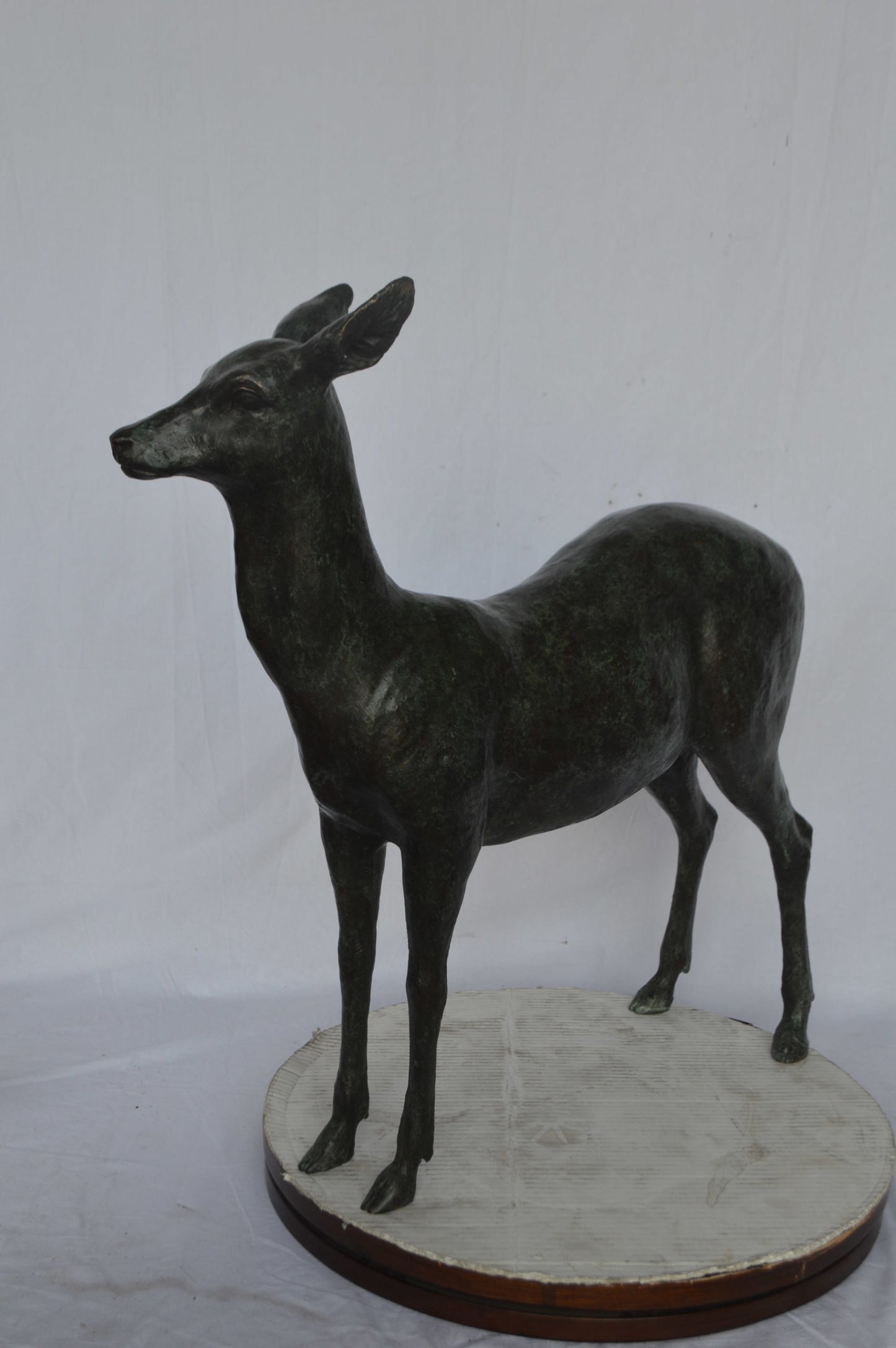 Doe - Baby Deer Green patina Bronze Statue - Size: 30"L x 8"W x 31"H.