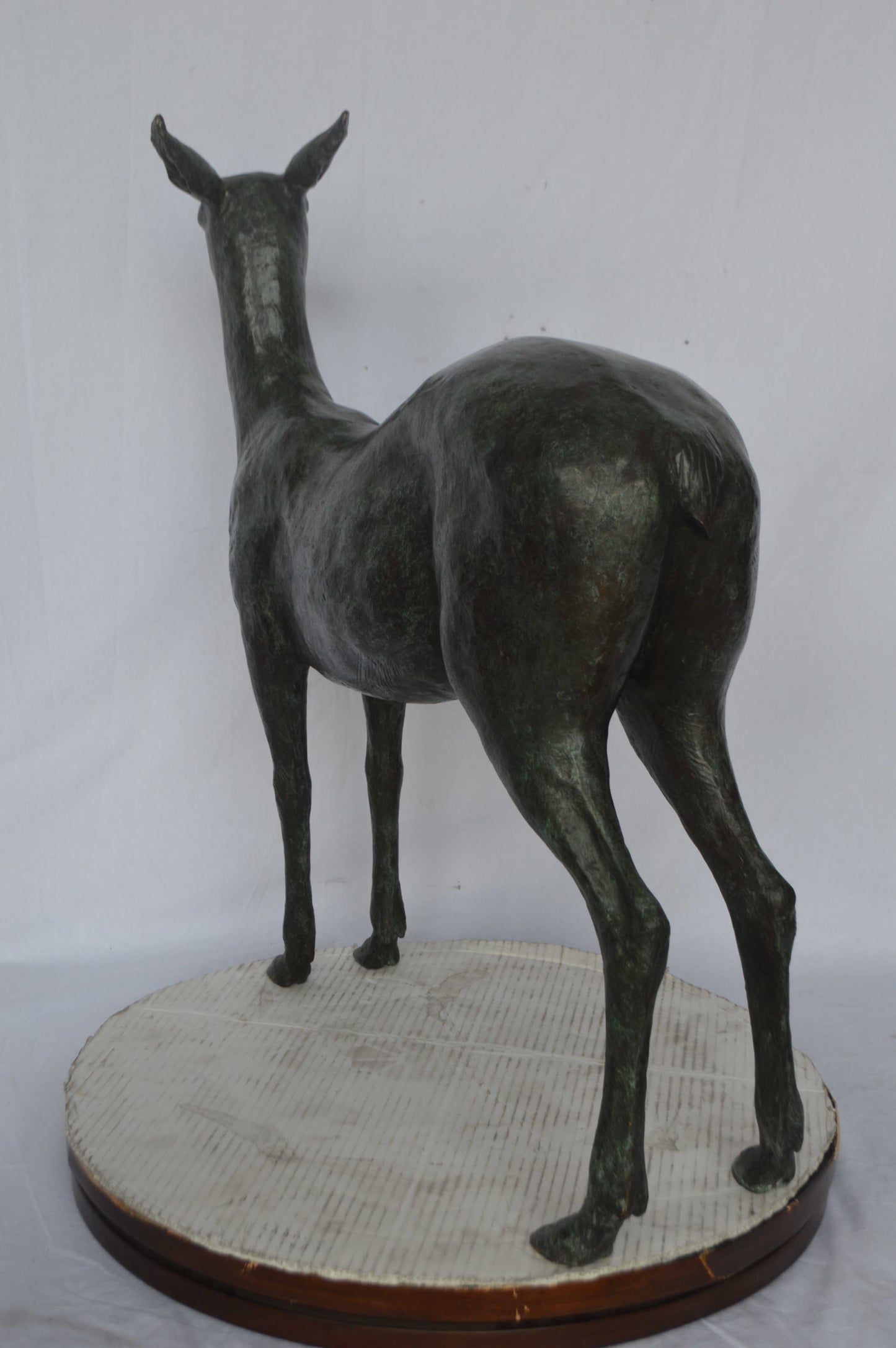Doe - Baby Deer Green patina Bronze Statue - Size: 30"L x 8"W x 31"H.