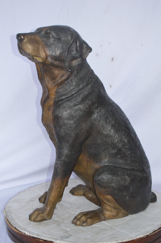 Labrador Retriever Sitting bronze statue - Size: 19"L x 15"W x 25"H.