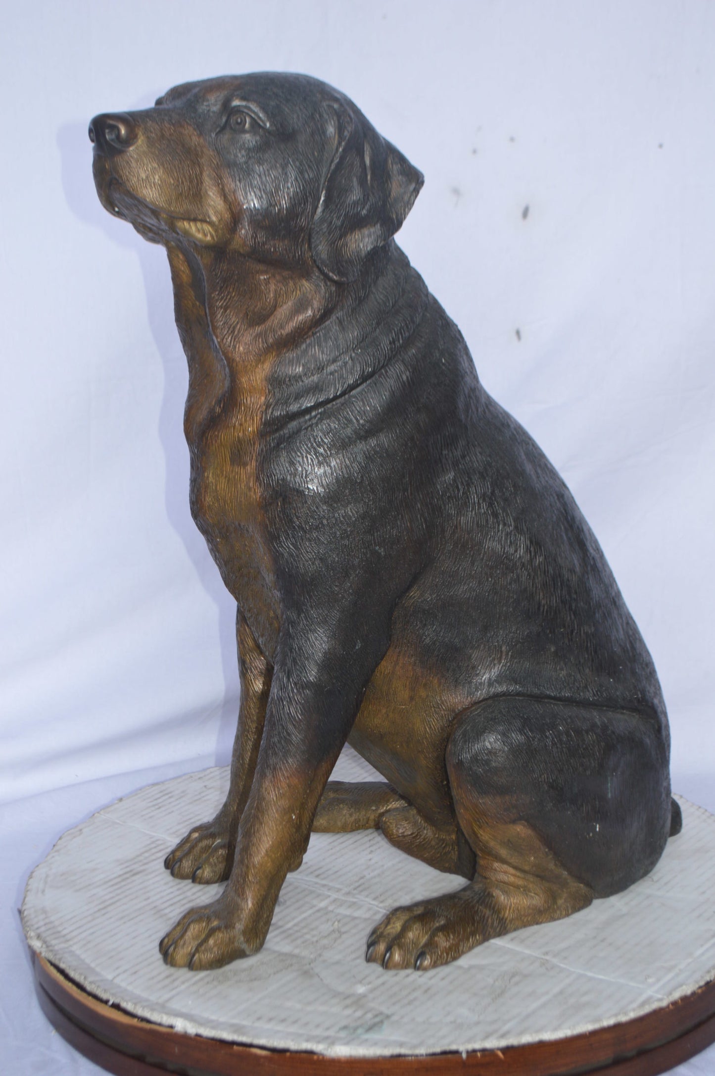 Labrador Retriever Sitting bronze statue - Size: 19"L x 15"W x 25"H.