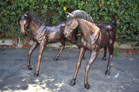 Pair Of Very Detailed Young Horses, Foals, Bronze Statues Size: 56" x 50" x 47"H