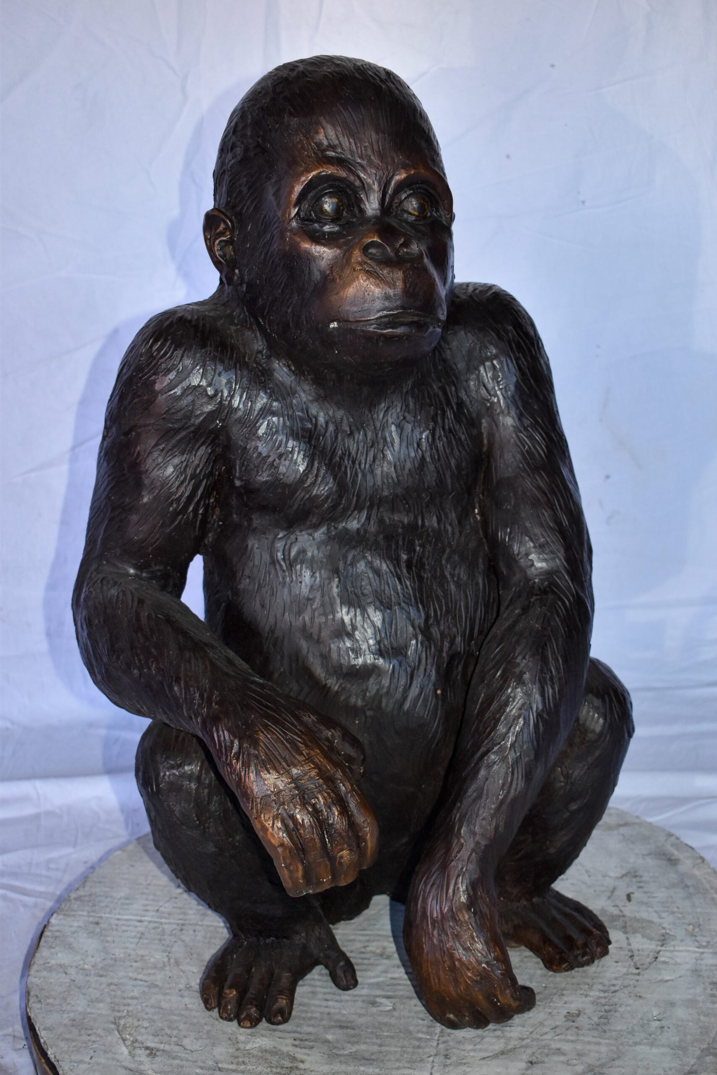 Baby Gorilla Sitting Detailed and Impressive Bronze Statue  18" x 14" x 30"H