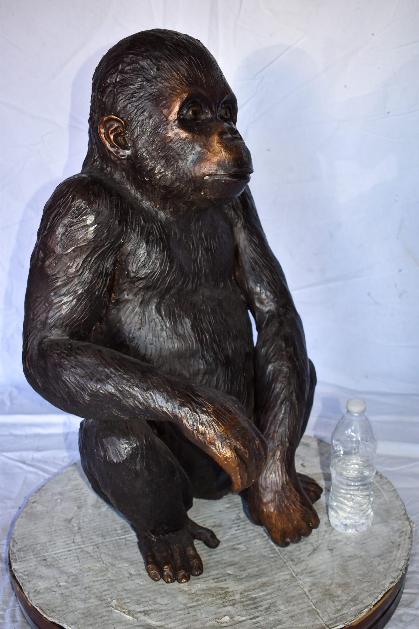 Baby Gorilla Sitting Detailed and Impressive Bronze Statue  18" x 14" x 30"H