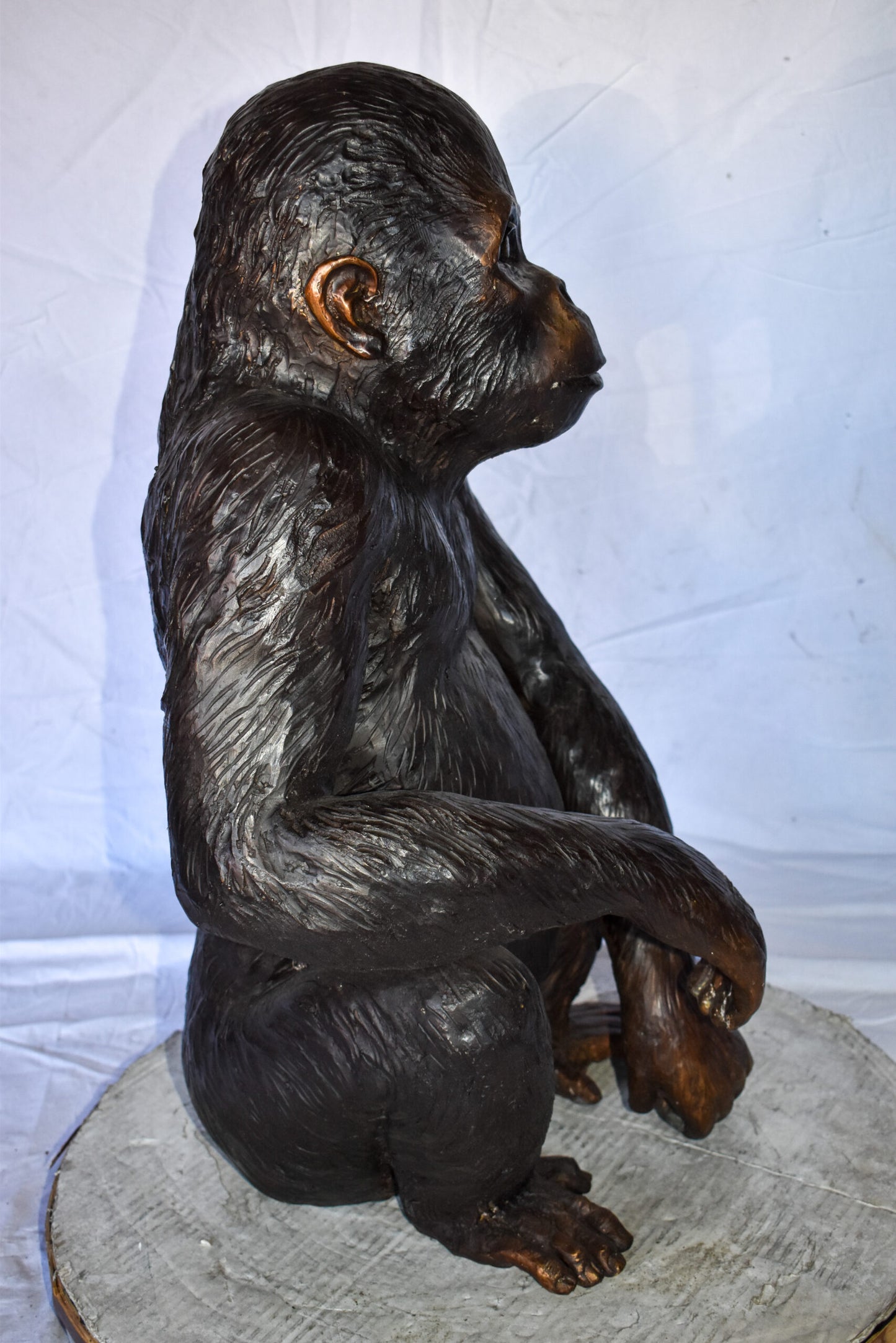 Baby Gorilla Sitting Detailed and Impressive Bronze Statue  18" x 14" x 30"H