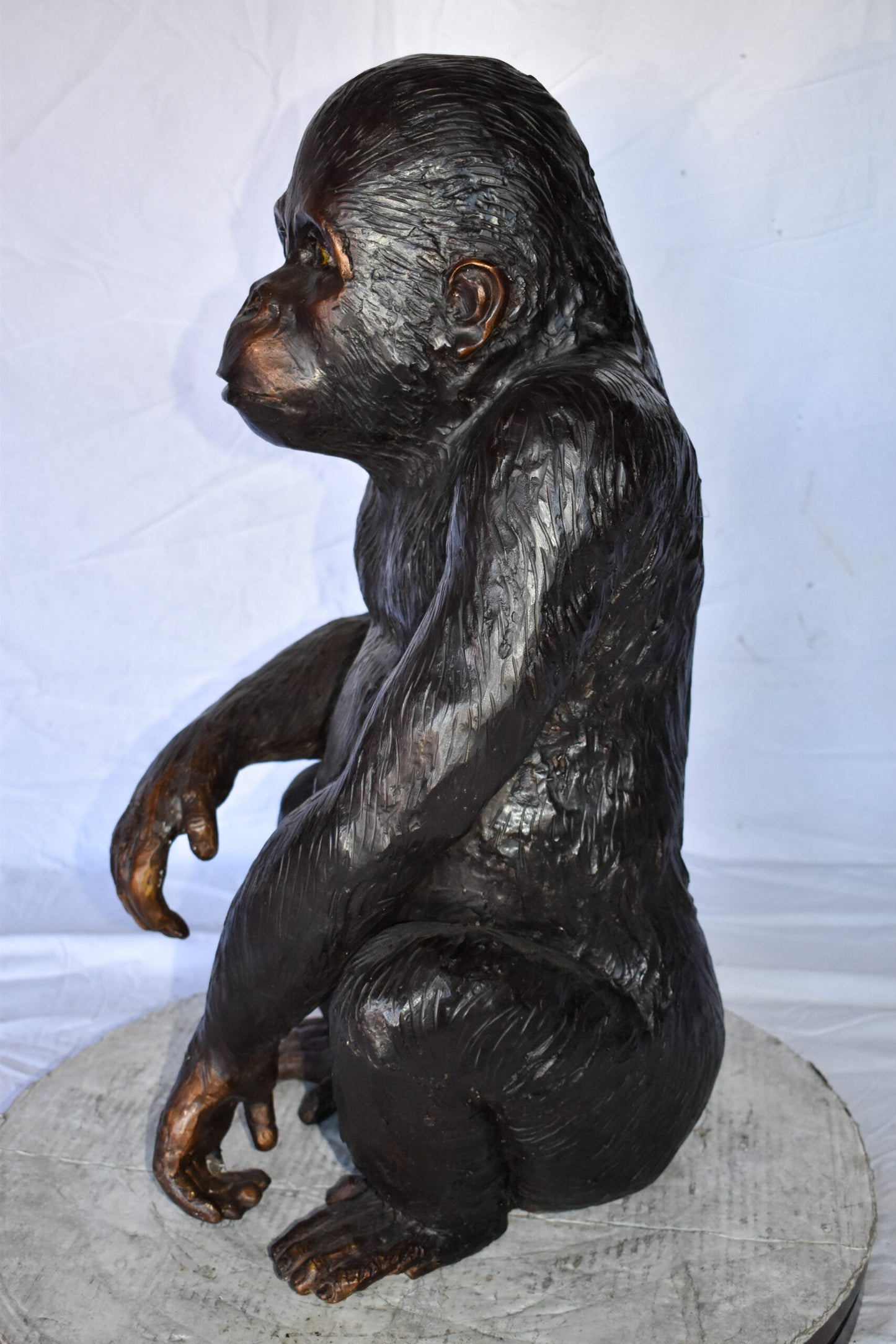 Baby Gorilla Sitting Detailed and Impressive Bronze Statue  18" x 14" x 30"H