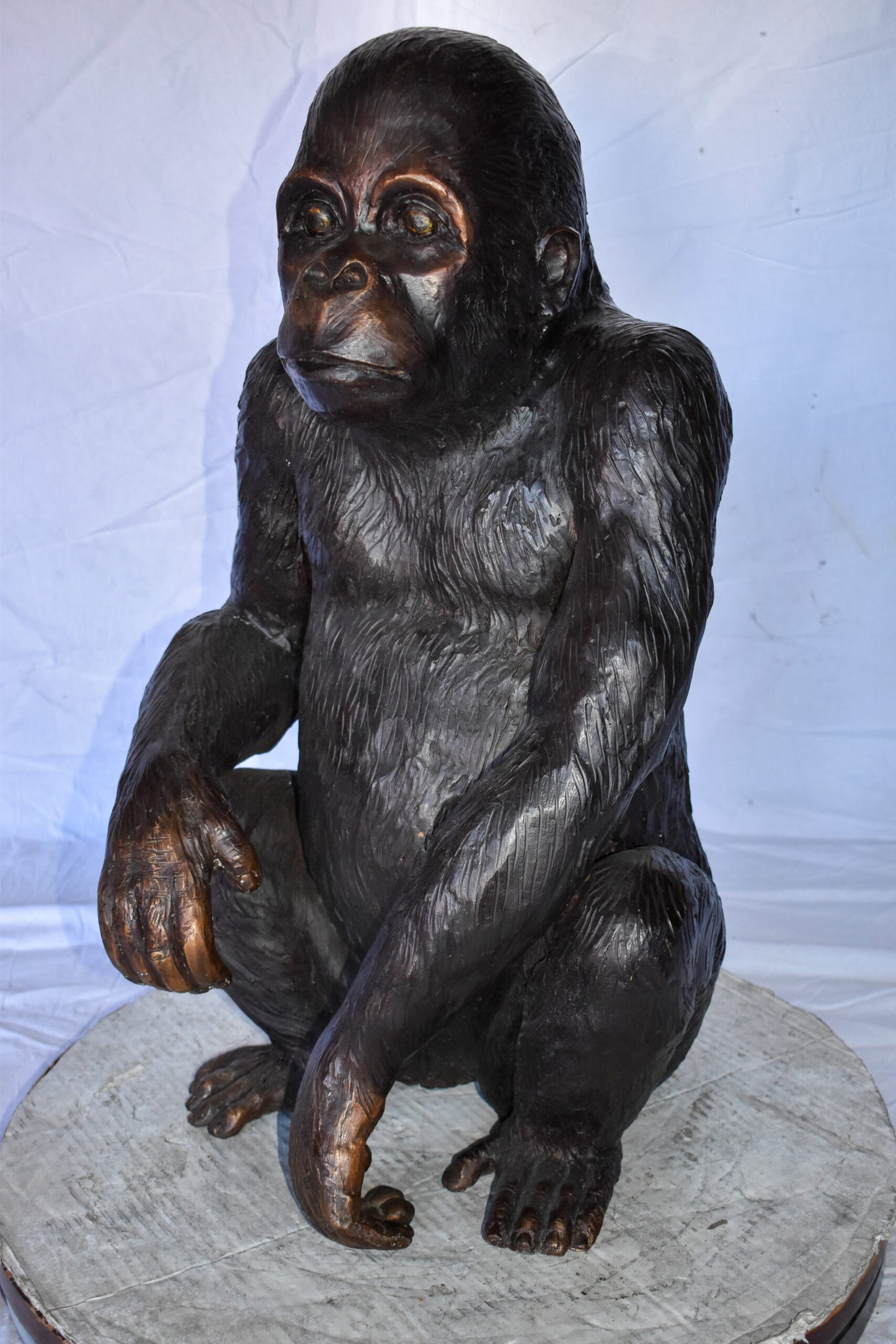 Baby Gorilla Sitting Detailed and Impressive Bronze Statue  18" x 14" x 30"H