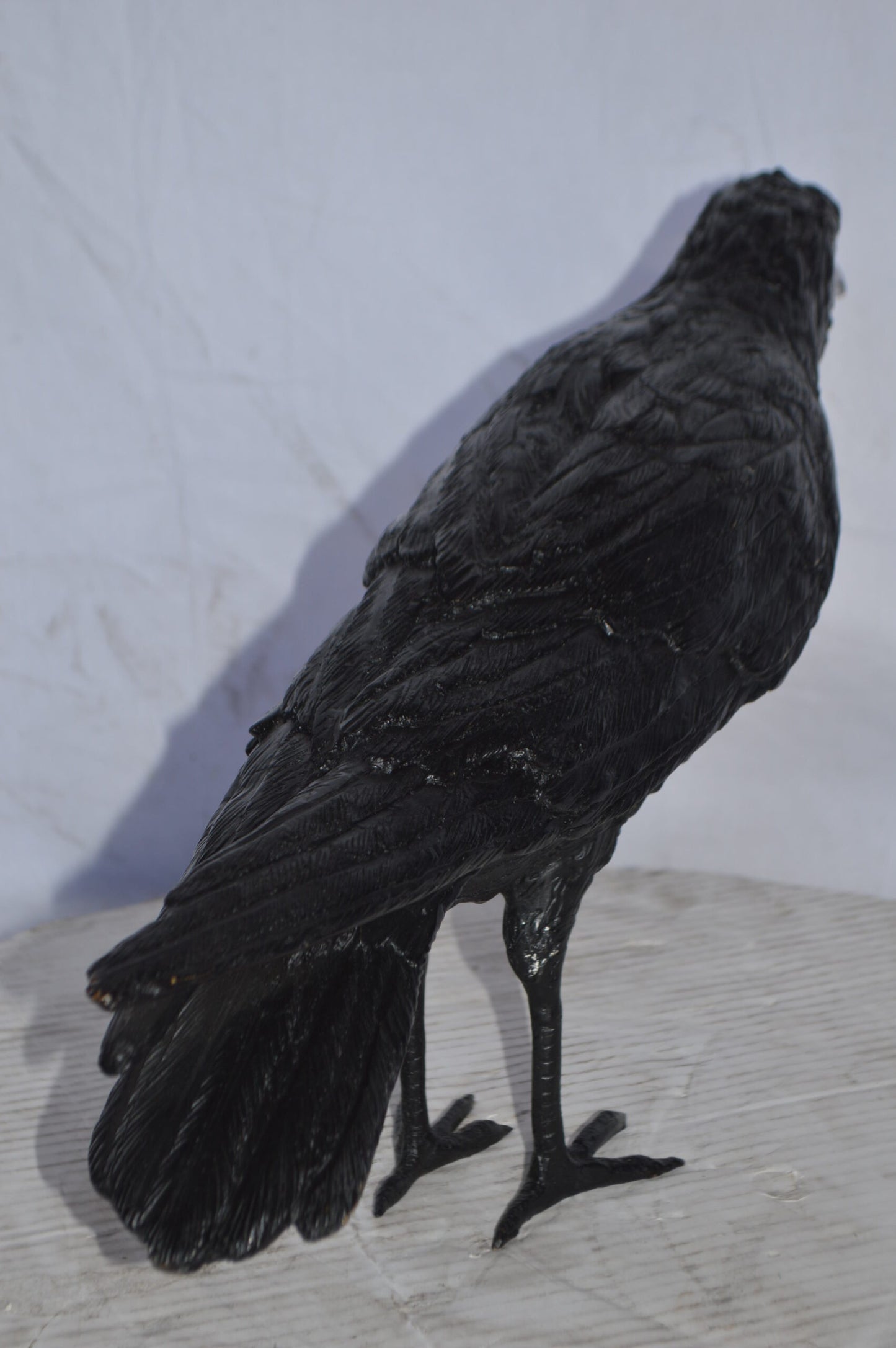 Raven with his head up Bronze Statue - Size: 23"L x 6"W x 13"H.