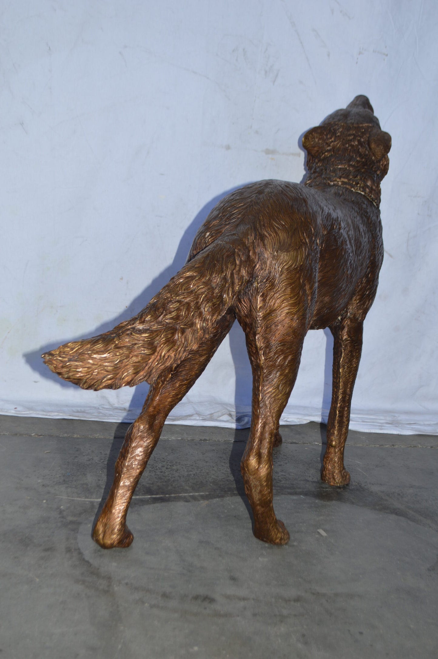 Wolf Standing and Howling Life Size Bronze Statue - Size: 45"L x 15"W x 34"H.