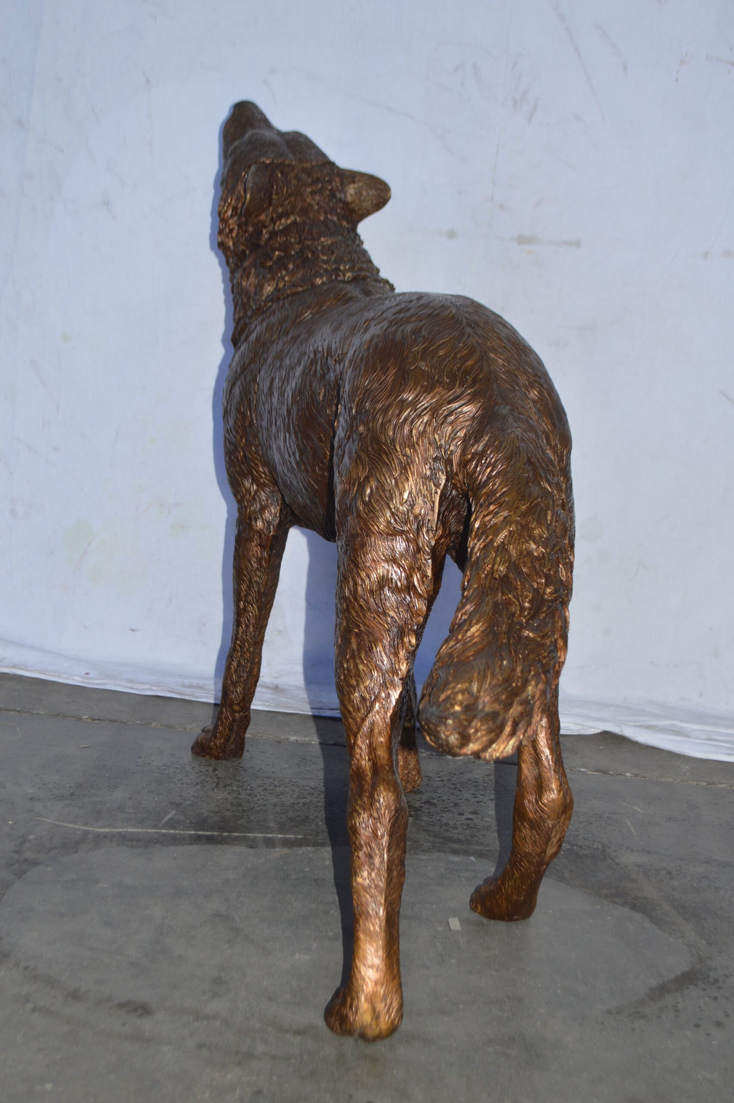 Wolf Standing and Howling Life Size Bronze Statue - Size: 45"L x 15"W x 34"H.