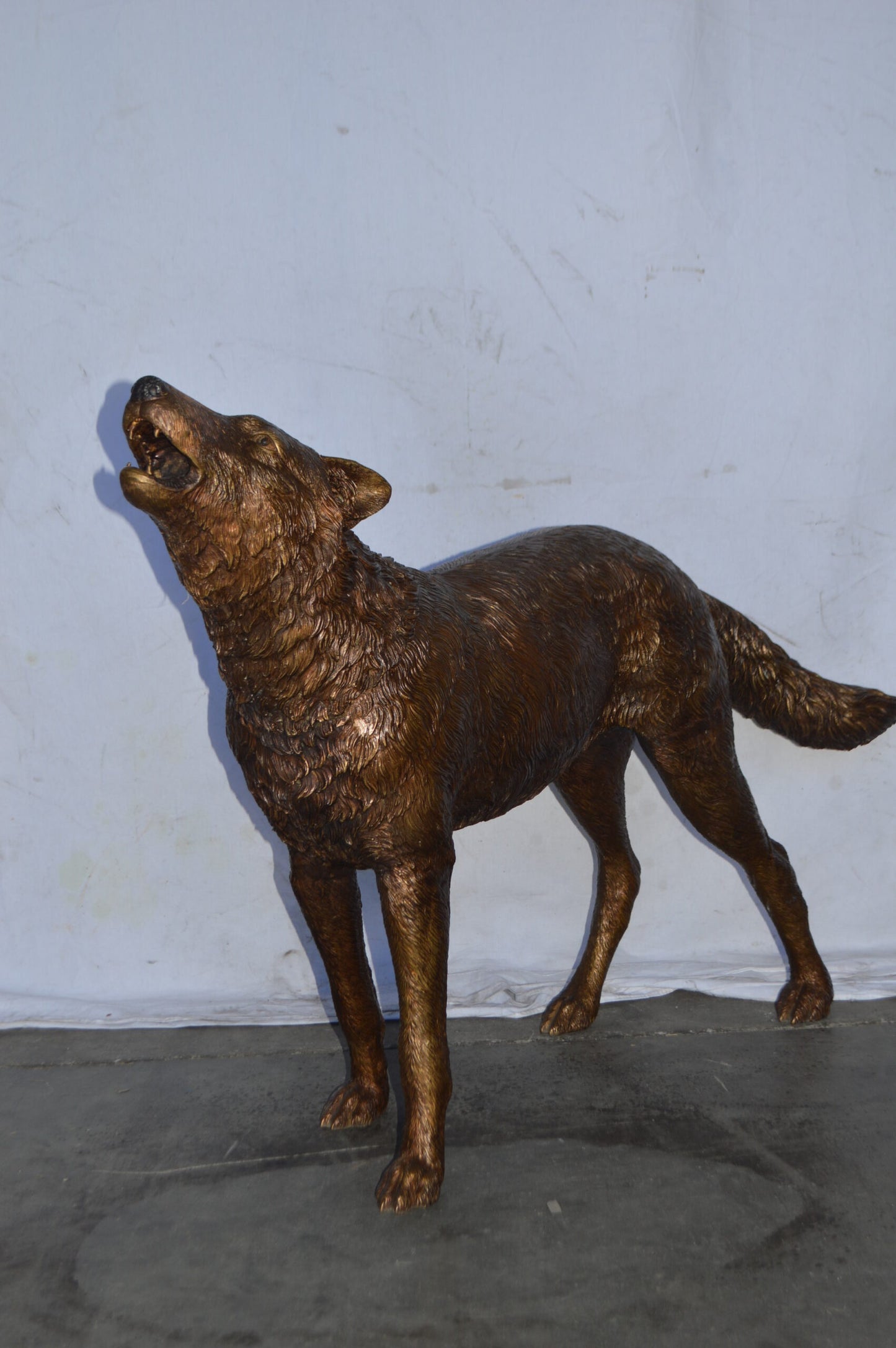 Wolf Standing and Howling Life Size Bronze Statue - Size: 45"L x 15"W x 34"H.