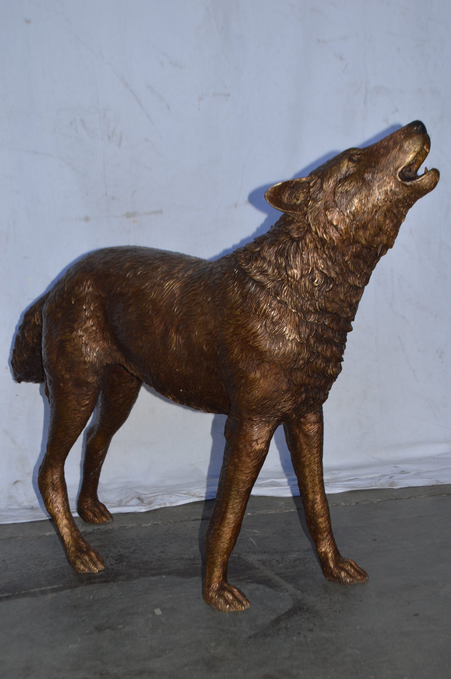 Wolf Standing and Howling Life Size Bronze Statue - Size: 45"L x 15"W x 34"H.