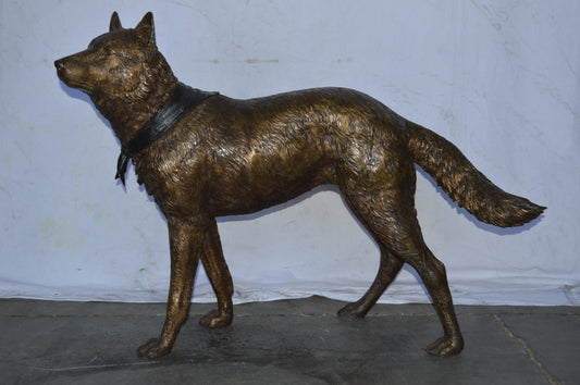 Wolf Standing Life Size Bronze Statue - Size: 45"L x 15"W x 33"H.