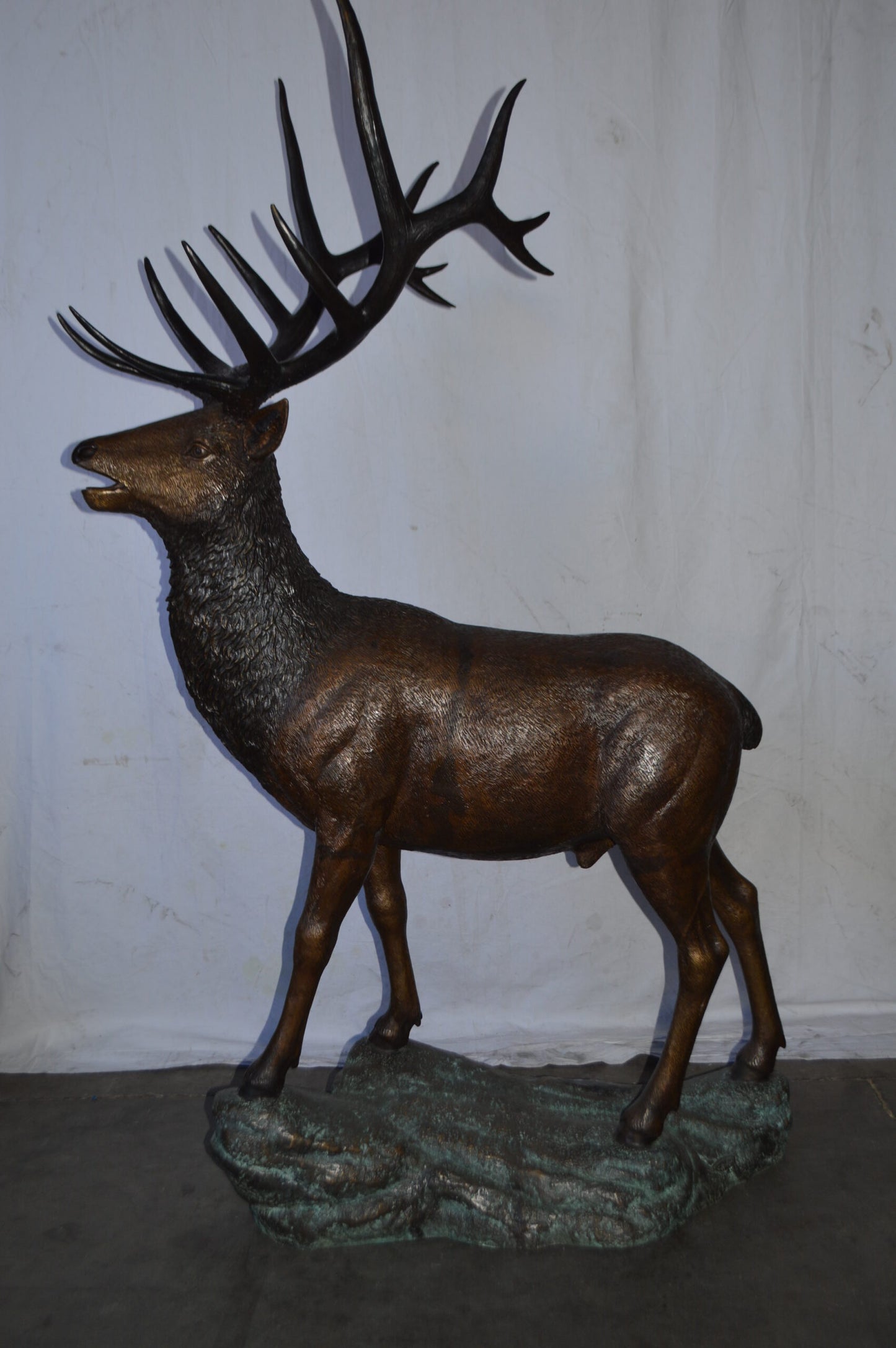 Standing Elk, life size bronze statue - Size: 42"L x 31"W x 77"H.