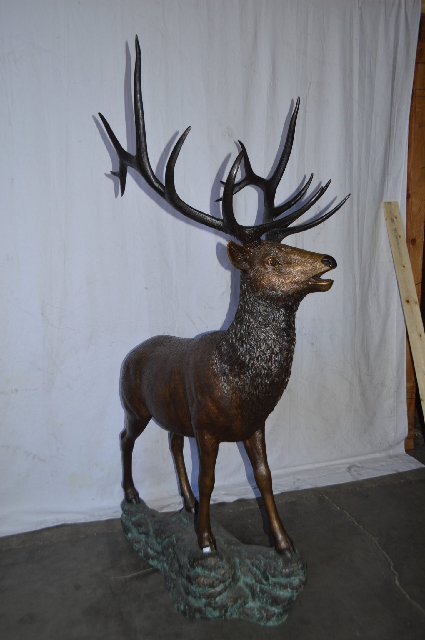 Standing Elk, life size bronze statue - Size: 42"L x 31"W x 77"H.