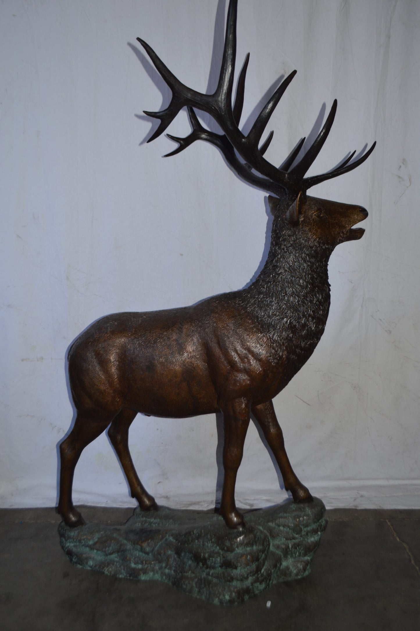 Standing Elk, life size bronze statue - Size: 42"L x 31"W x 77"H.