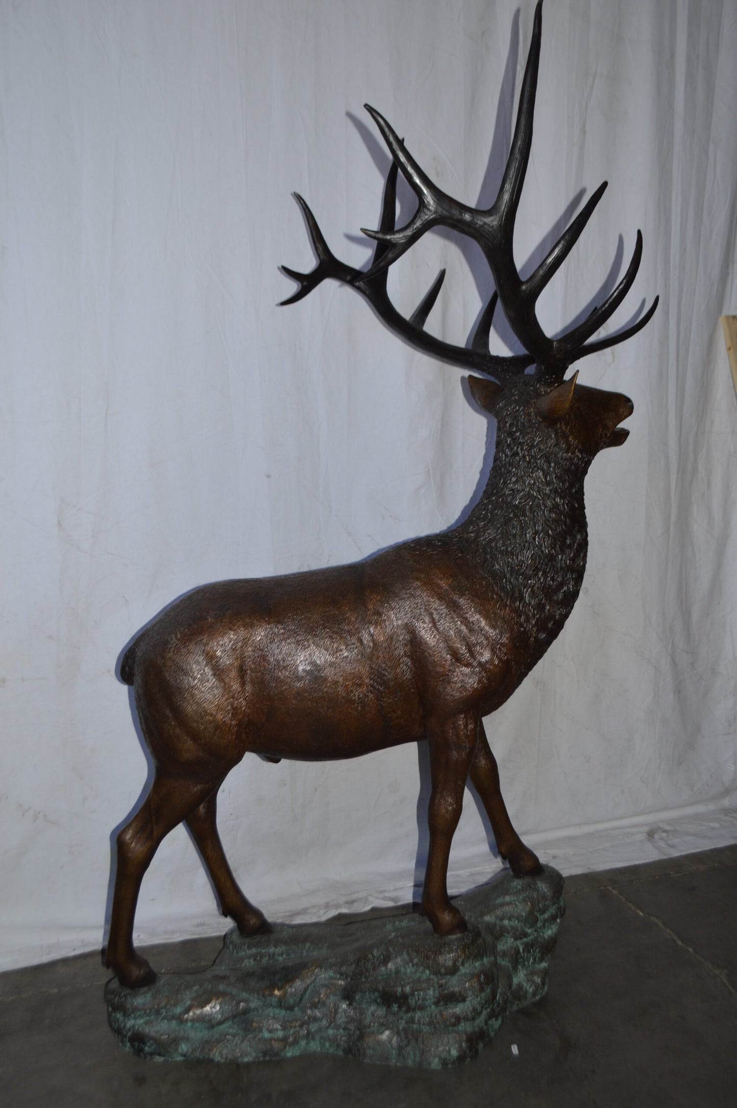 Standing Elk, life size bronze statue - Size: 42"L x 31"W x 77"H.