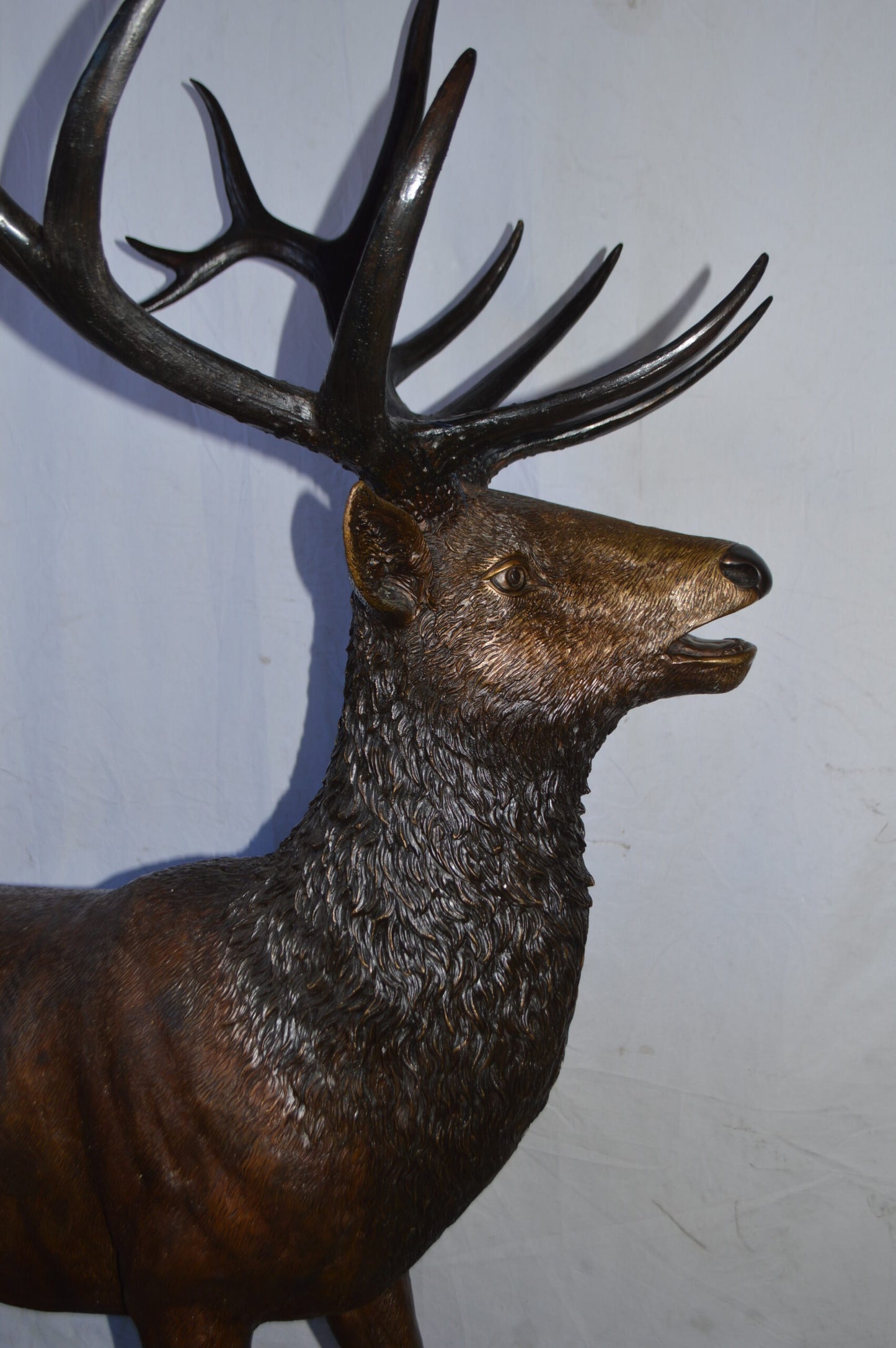 Standing Elk, life size bronze statue - Size: 42"L x 31"W x 77"H.