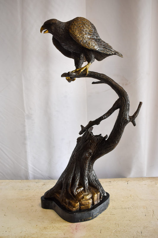 Observant Hawk on Arched Branch Bronze Statue 17" x 19" x 32"H