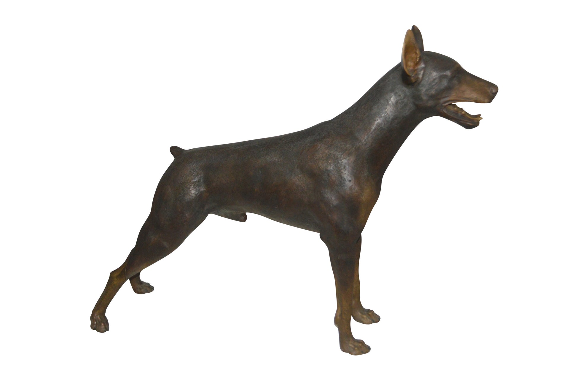 Doberman - Large Bronze Statue -  Size: 14"L x 52"W x 38"H.