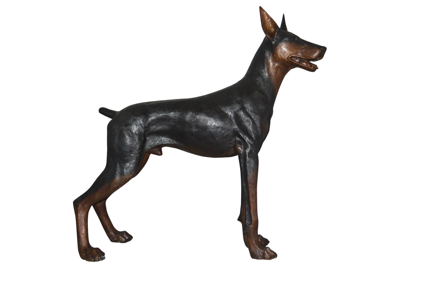 Doberman Dog Bronze Statue -  Size: 36"L x 9"W x 38"H.