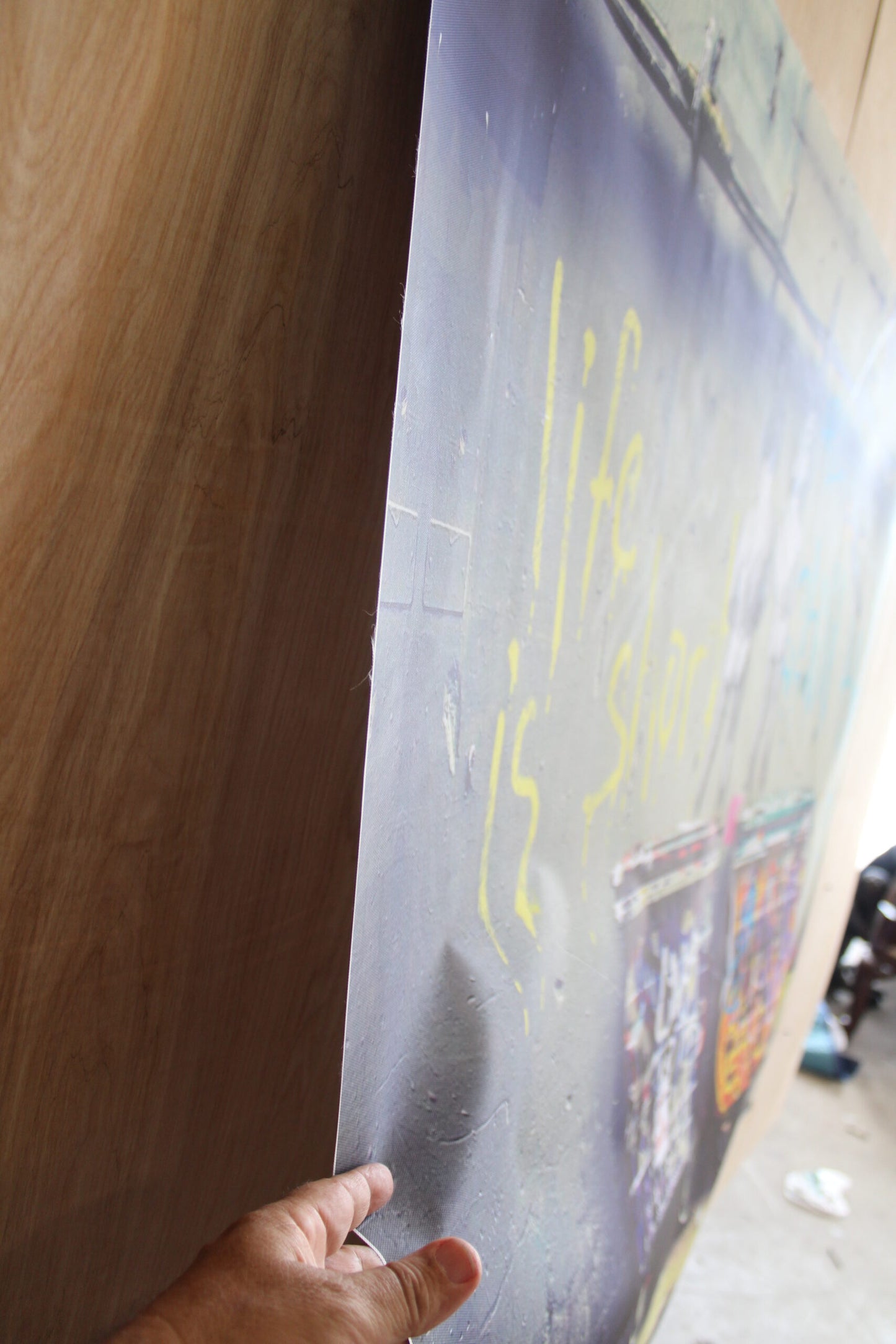 Humorous and Artistic Life Is Short Unframed Rolled Canvas Painting 52 x 62