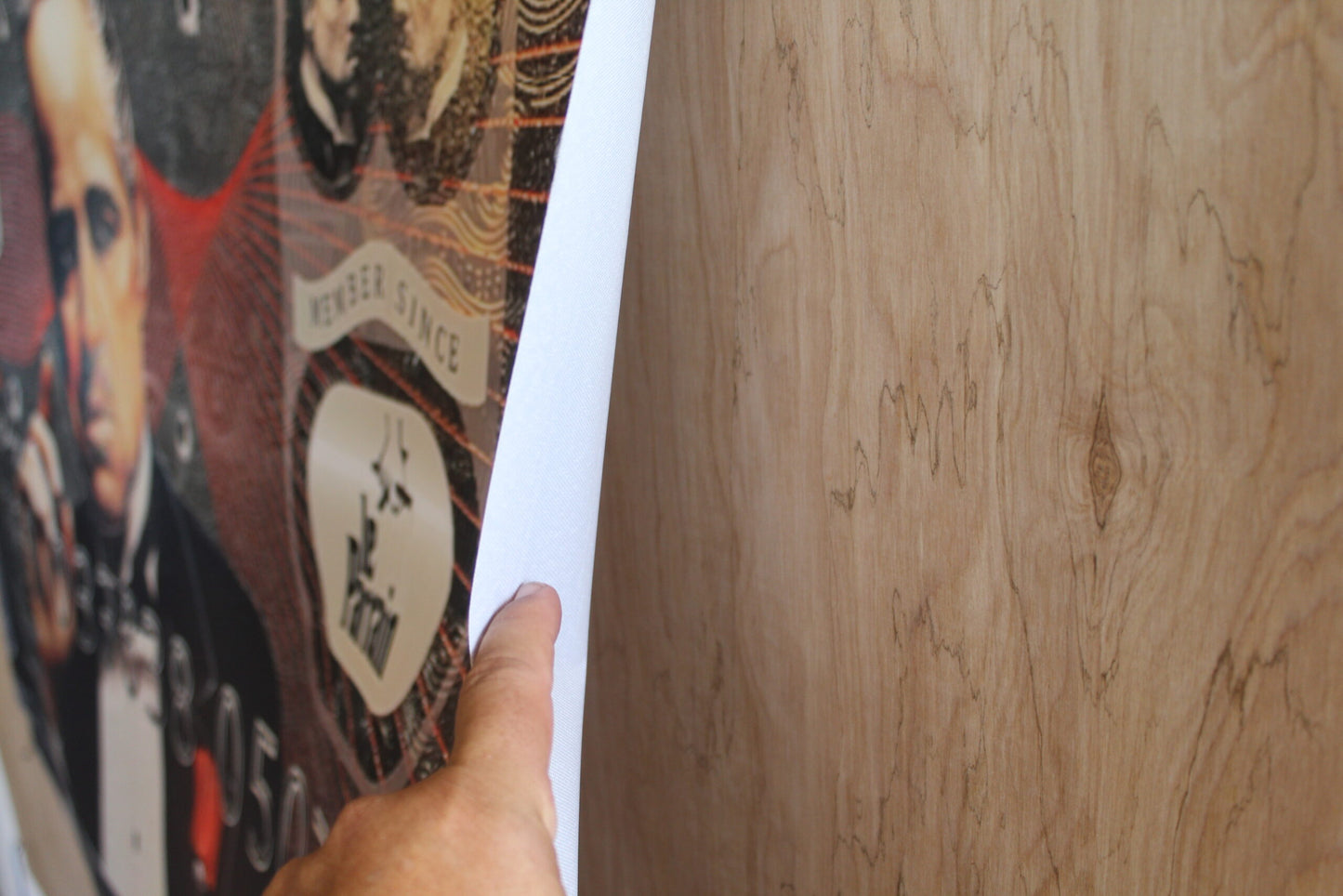 Giant Modern Don Carleon Credit Card Backdrop Unframed Canvas 43 x 64