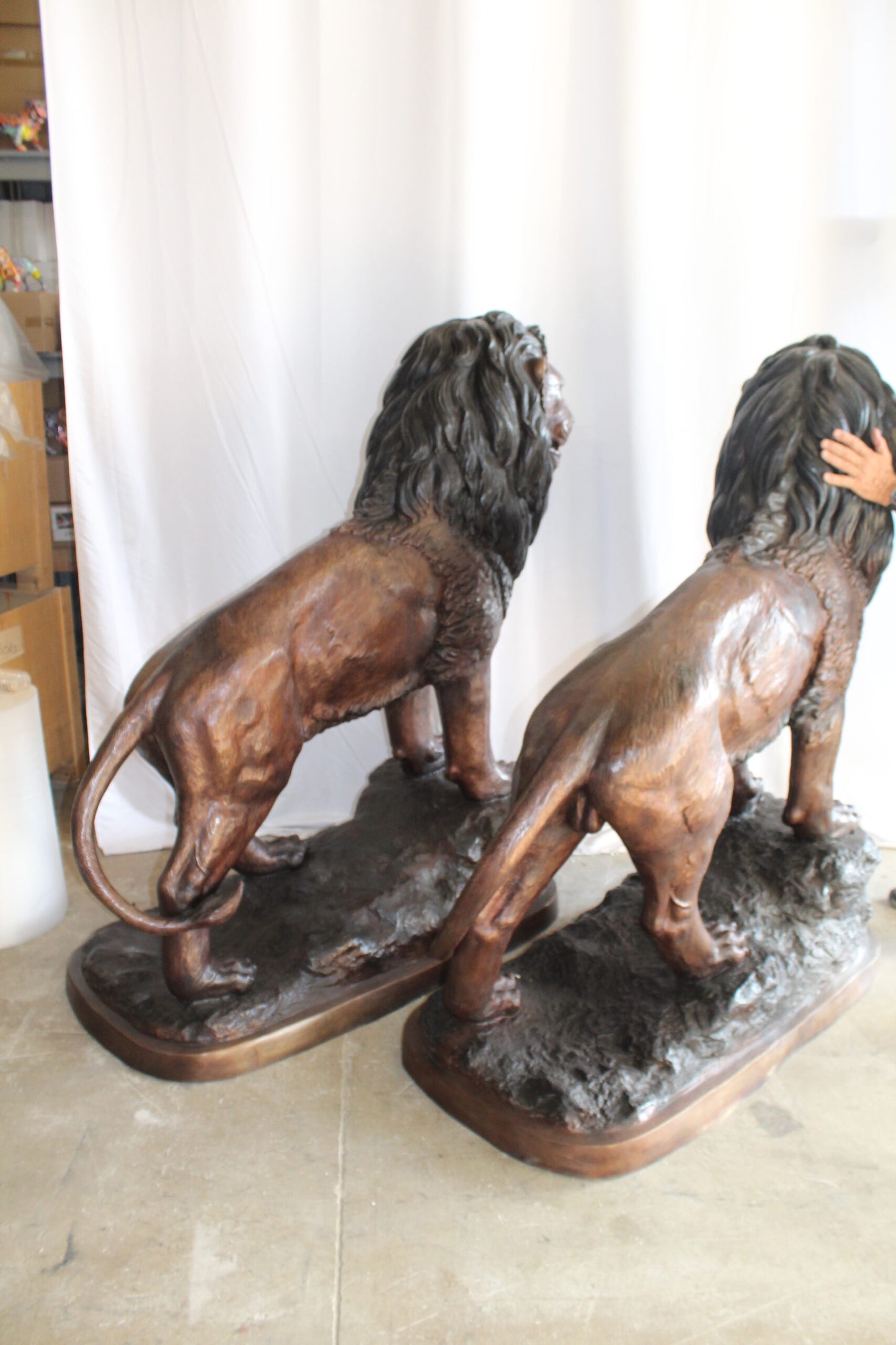 Lifesized Pair of Lions Bronze Statues 58" x 30" x 62"H