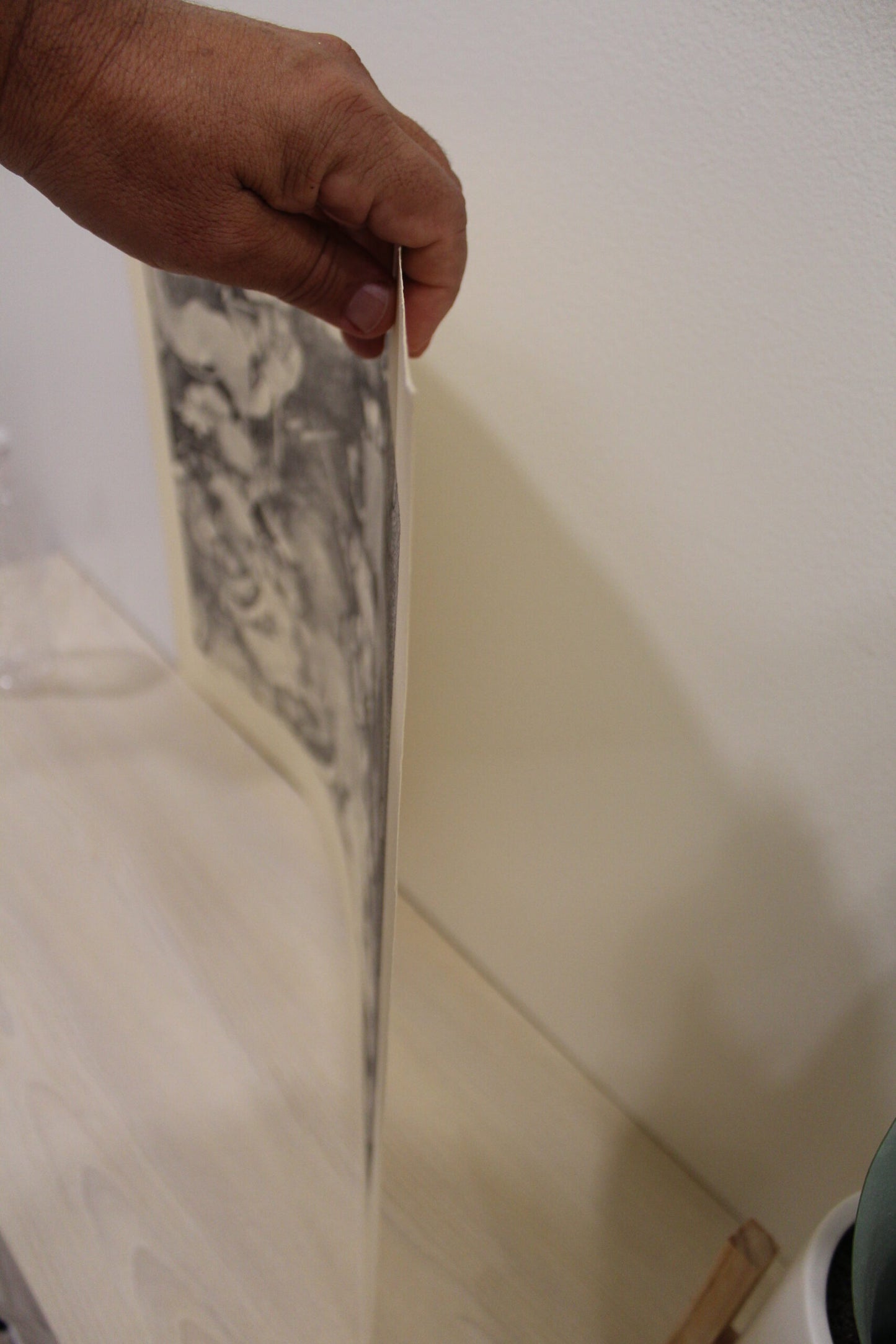 Nifao  DMZ signed by Charles Bragg Monochromaric Charles Bragg Signed Lithograph “DMZ” – Limited Edition Satirical Fine Art Print, Collectible Wall Decor, 20"x14"