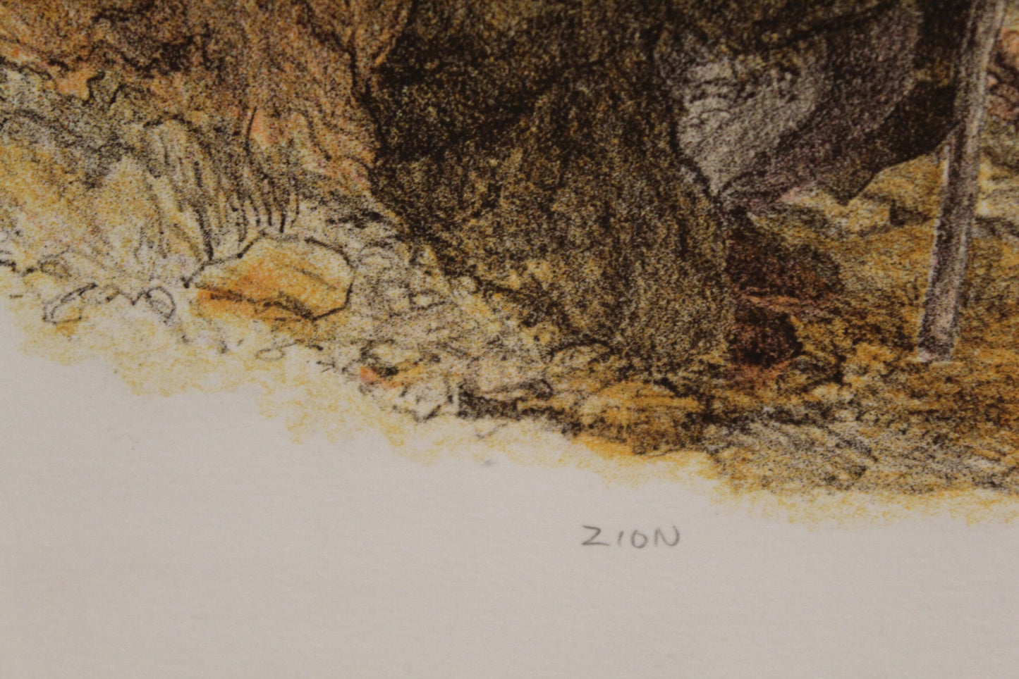 Nifao Emanuel Schary “Zion” Colored Lithograph – Judaica Fine Art Print with Vibrant Townscape & Nature Scene, Collectible Wall Decor 18 x 14