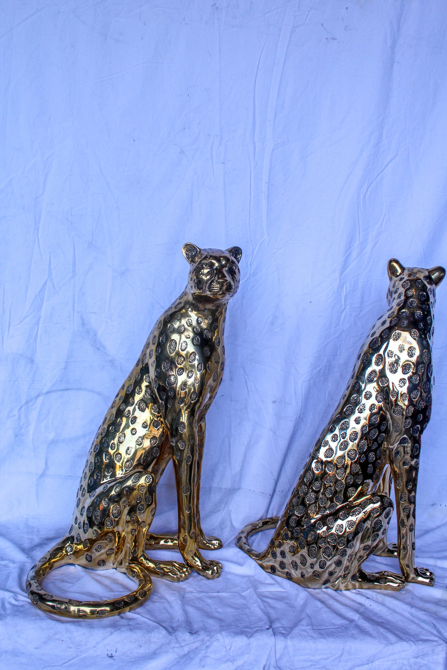 Pair of Sitting Cheetahs Bronze Statues, Gold Finish 21" x 21" x 34"H