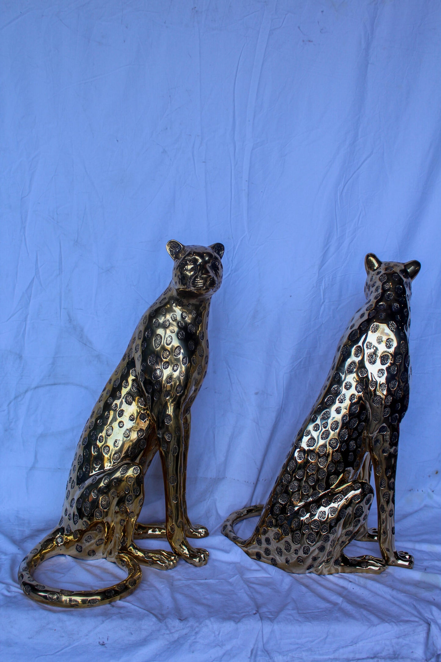 Pair of Sitting Cheetahs Bronze Statues, Gold Finish 21" x 21" x 34"H