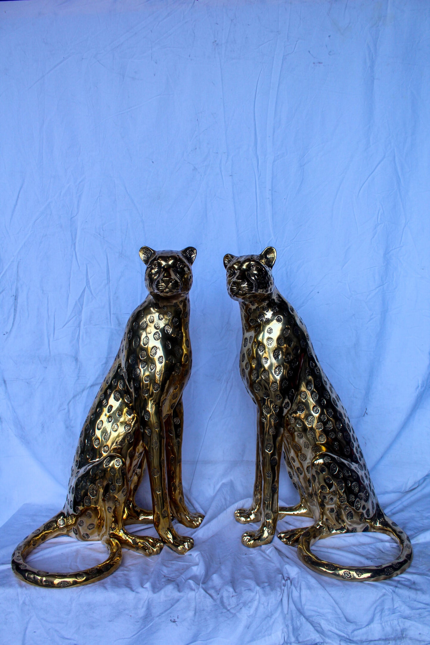 Pair of Sitting Cheetahs Bronze Statues, Gold Finish 21" x 21" x 34"H