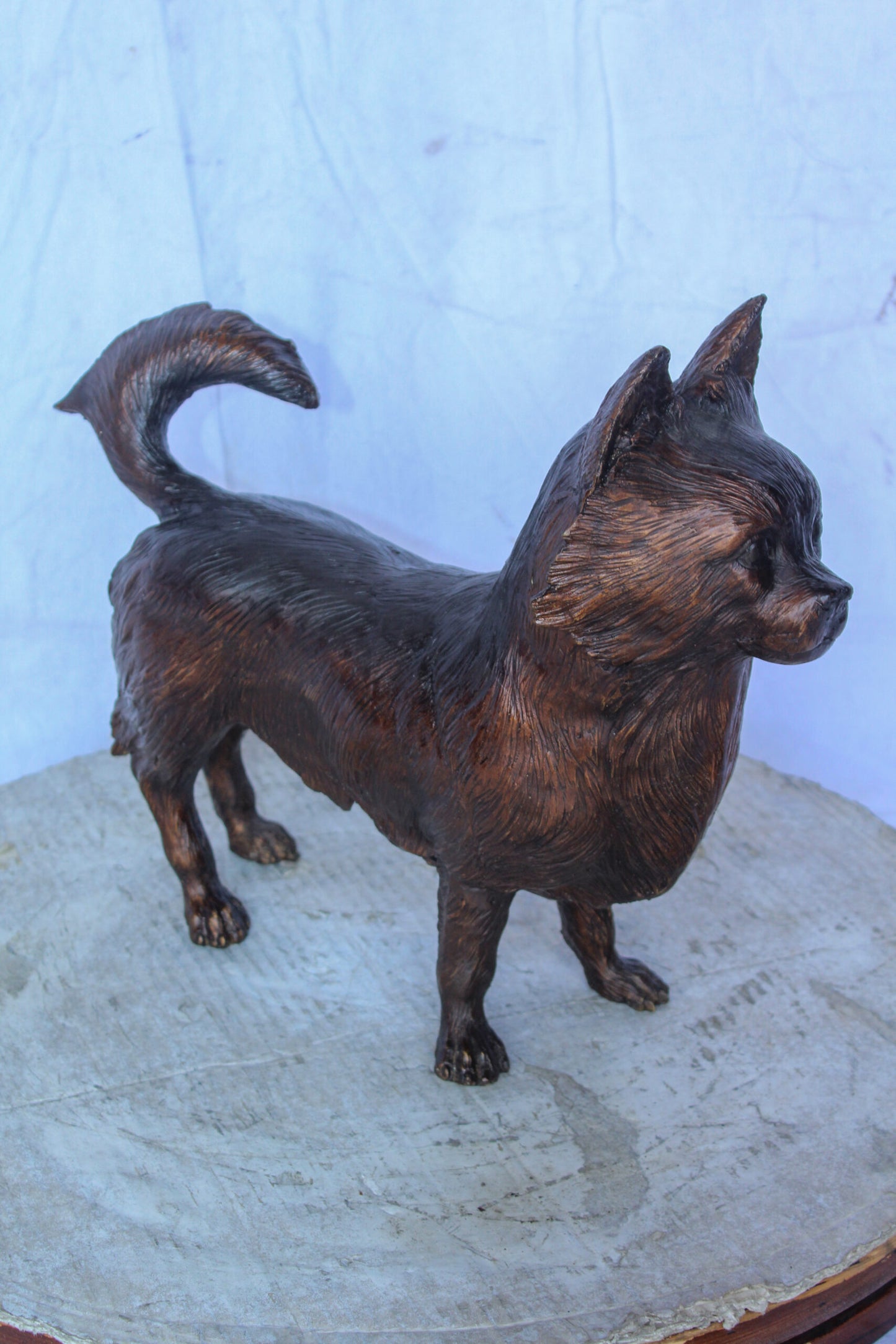 Pomeranian Dog Bronze Statue in a Graceful Standing Pose 18" x 6" x 14"H