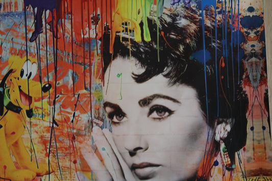 Liz Taylor And Goofy Pop Art Replica, a Giant Unstretched Canvas, 64"x44"