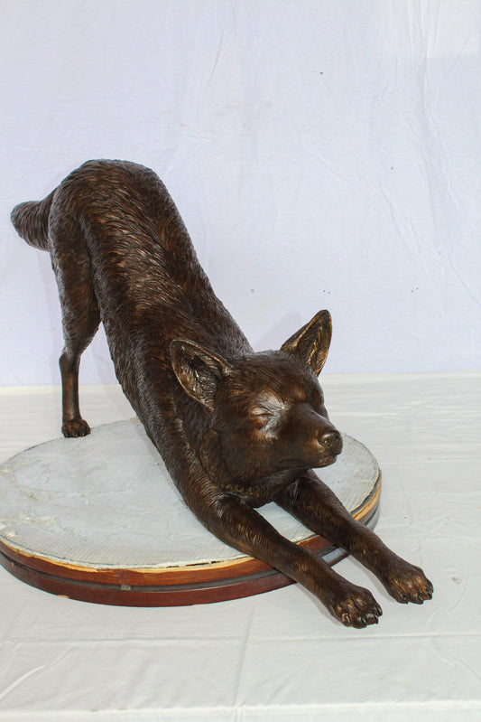 Nifao Bronze Wolf Stretching Statue – Handcrafted Lost Wax Wildlife Sculpture with Natural Patina Finish Long Lifelike Wolf Art for Rustic Cabin, Lodge Home Décor 49" x 10" x 20"H