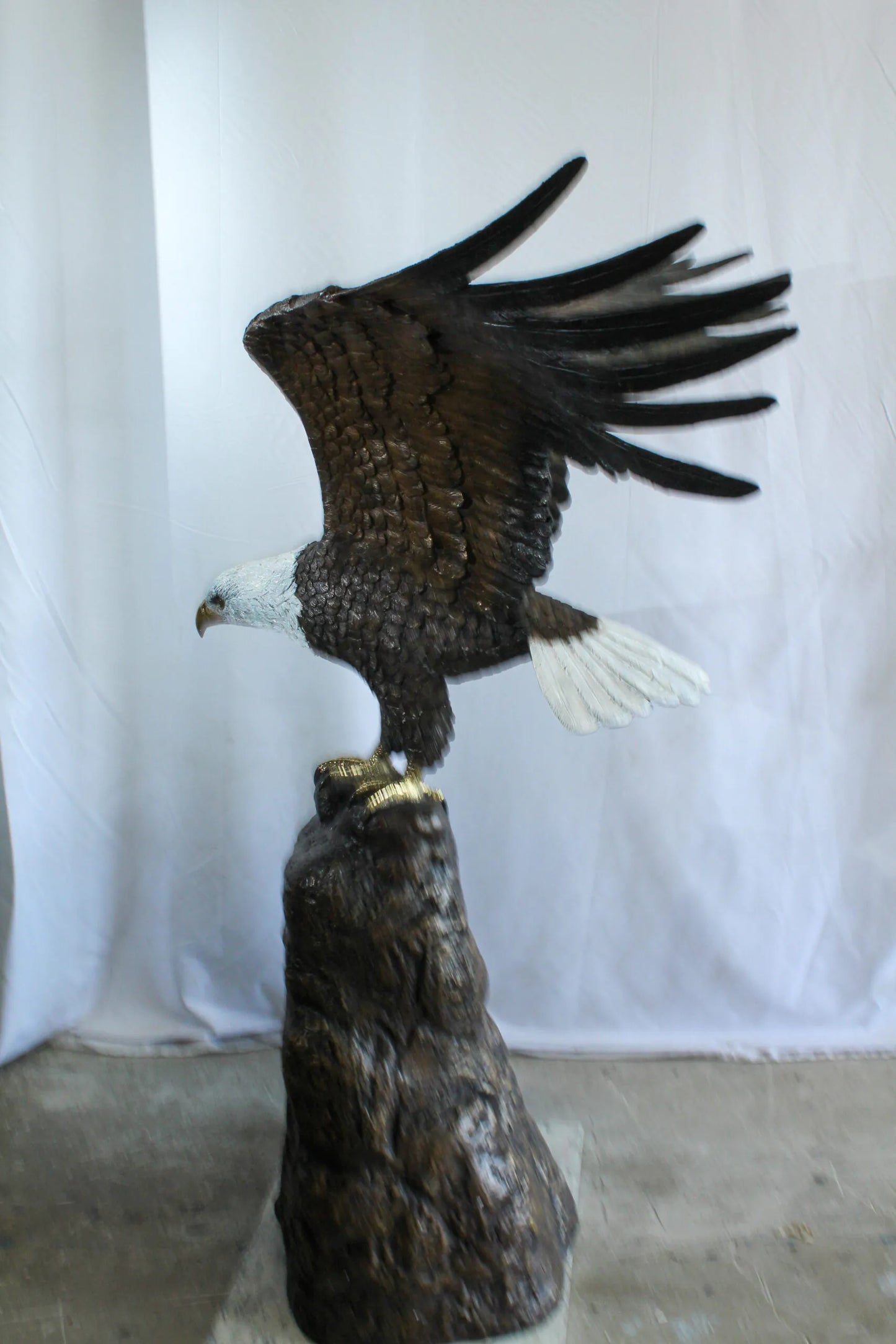 Bald Eagle Bronze Statue with White Head and His Wings Spread 51" x 36" x 58"H