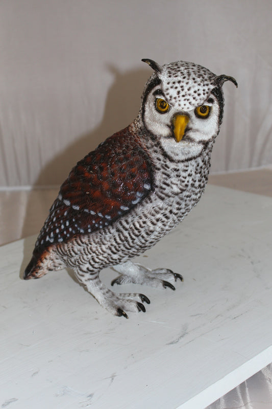 Owl Bronze Statue - Size: 12"L x 6"W x 12"H.