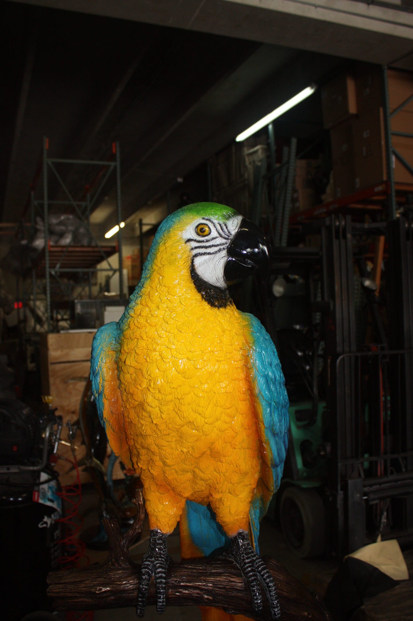 Single Parrot on a tree - Bronze Statue - Size: 30"L x 24"W x 66"H.