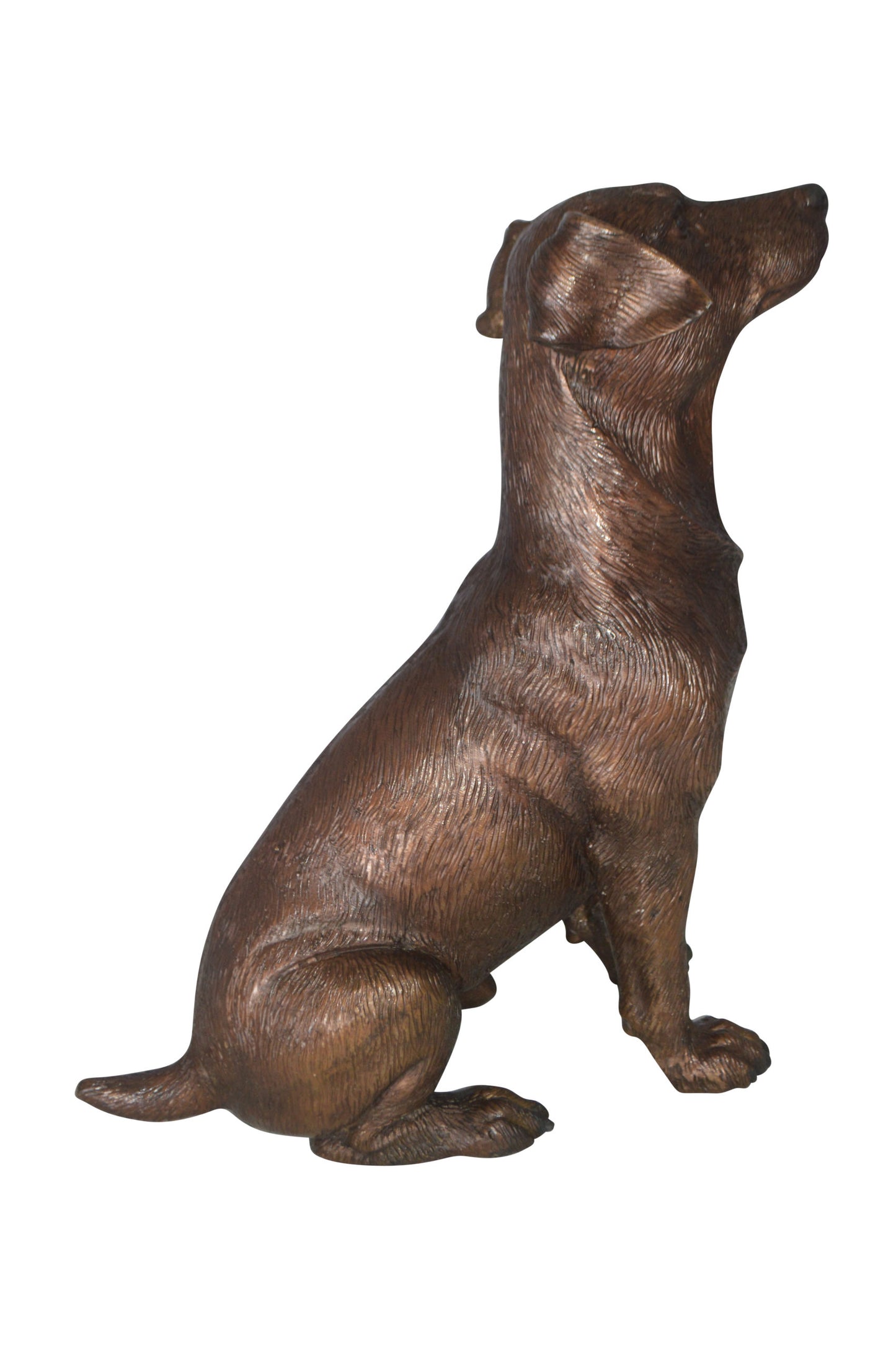 Jack Russel dog standing Bronze Statue - Size: 10"L x 6"W x 14"H.