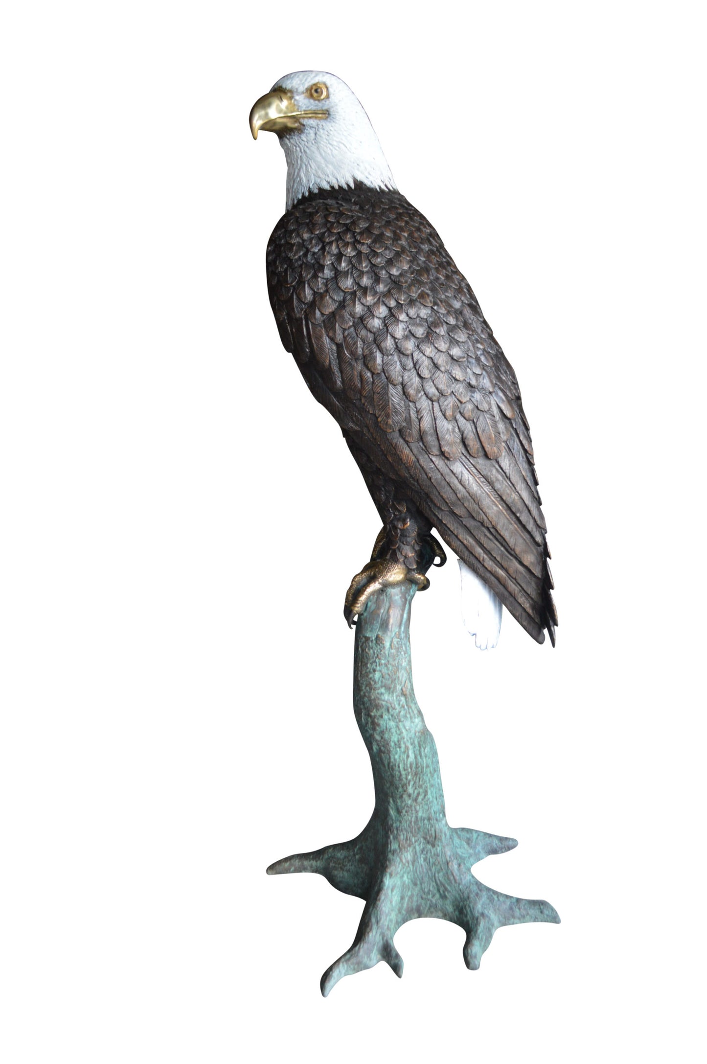 Large Eagle on a branch