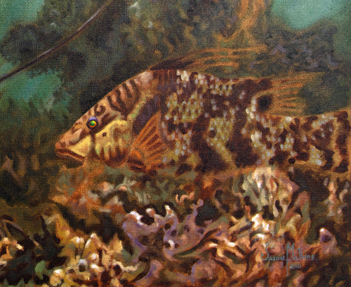 The Drift, limited edition giclee on canvas, Jason Mathias, 50.25X33.5 signed.