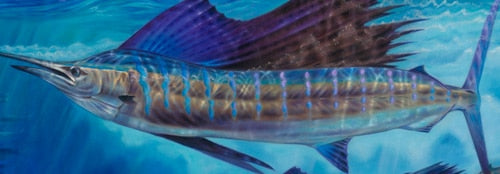 Wide Open, limited edition by Jason Mathias, 40x20 signed and numbered