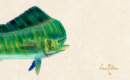 Mahi Mahi, limited edition giclee by Jason Mathias, 40x30 signed and numbered
