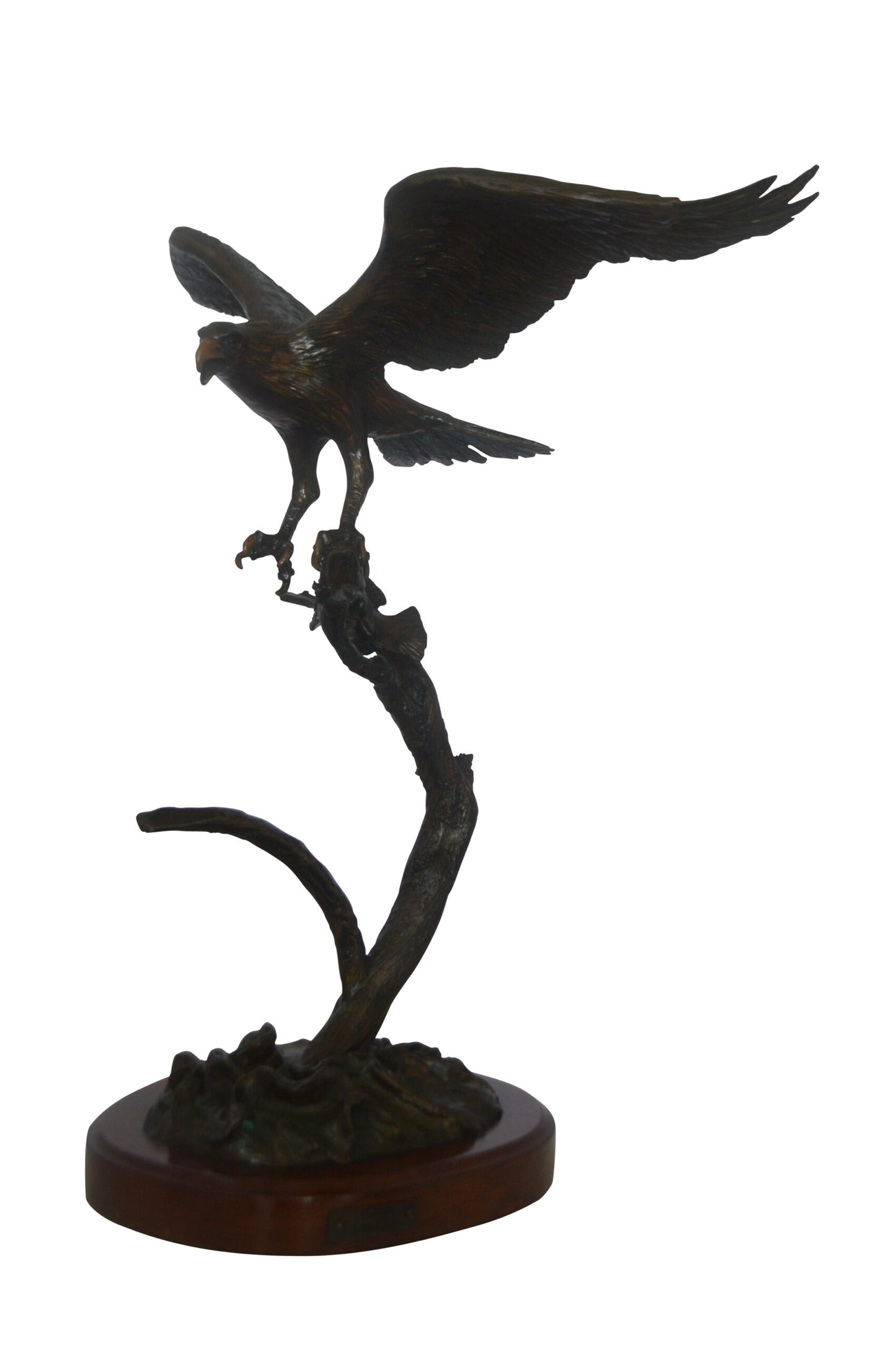 Osprey Eagle Bronze Statue by Carl Wagner  -  Size: 28"L x 14"W x 28"H.