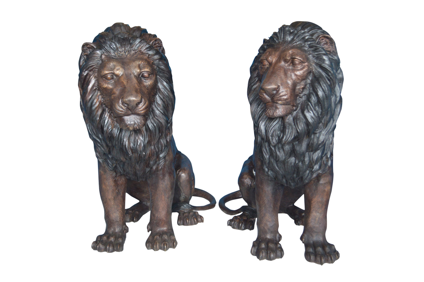 Pair of life size lion bronze statues - Size: 55"L x 28"W x 60"H.