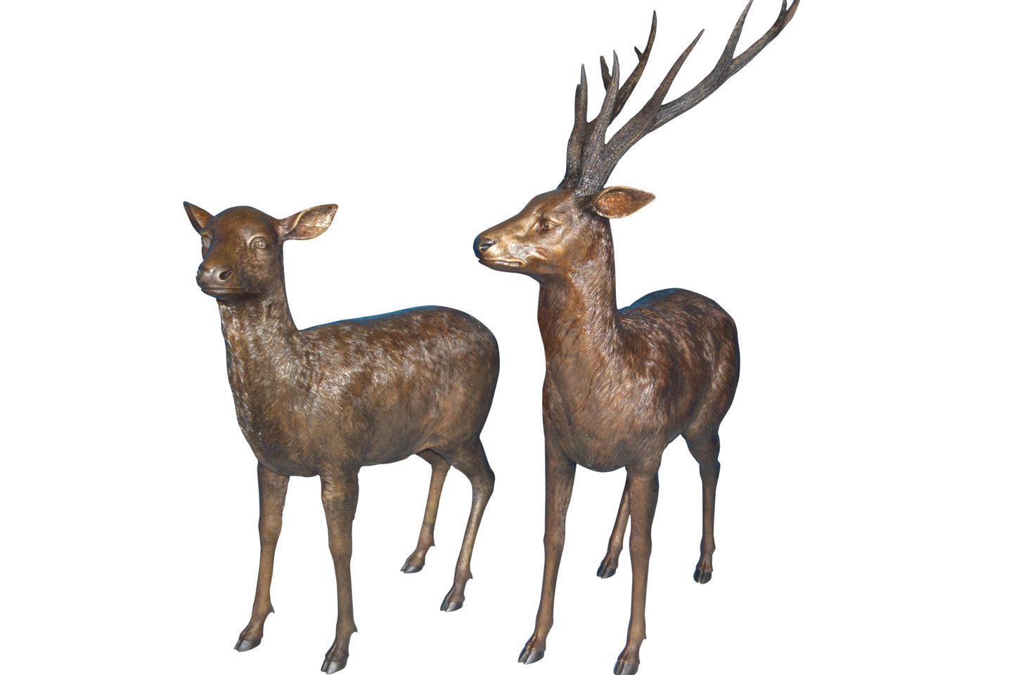 Pair of standing Deers bronze statues -  Size: 48"L x 45"W x 65"H.