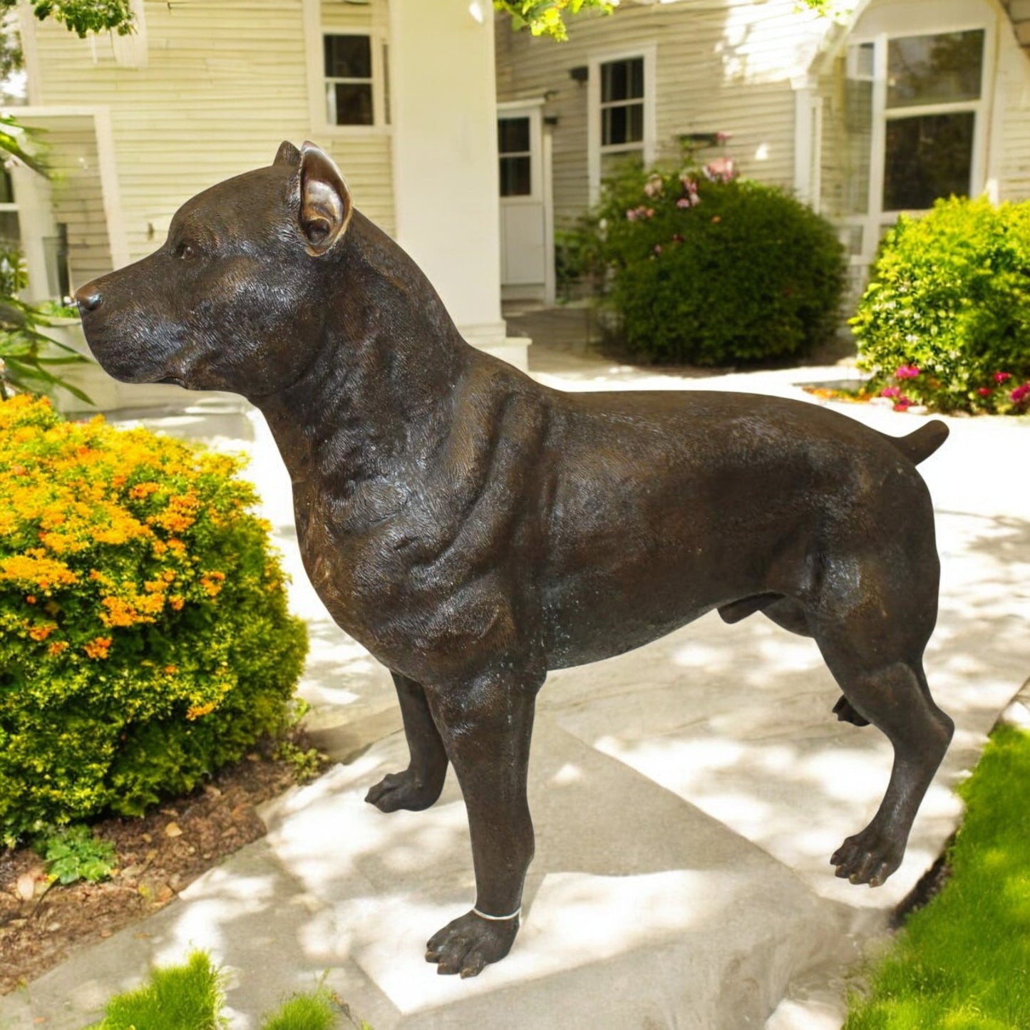 Pit Bull Dog Bronze Statue - Size: 33"L x 11"W x 26"H.
