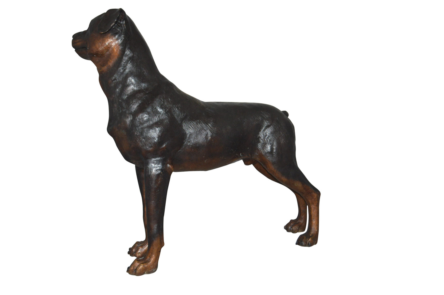 Rottweiler Dog Bronze Statue - Size: 44"L x 10"W x 36"H.