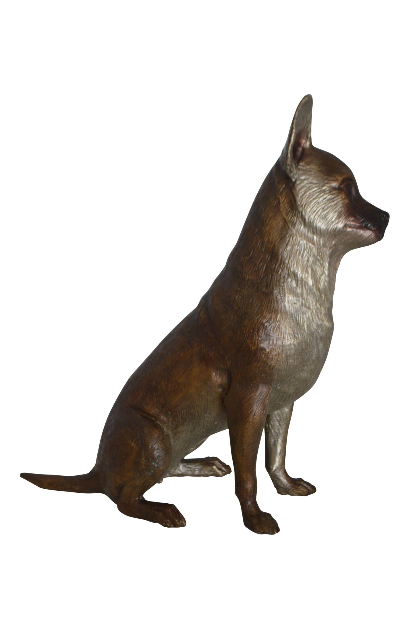 Sitting Chihuahua Bronze Statue - Size: 6"L x 15"W x 15"H.